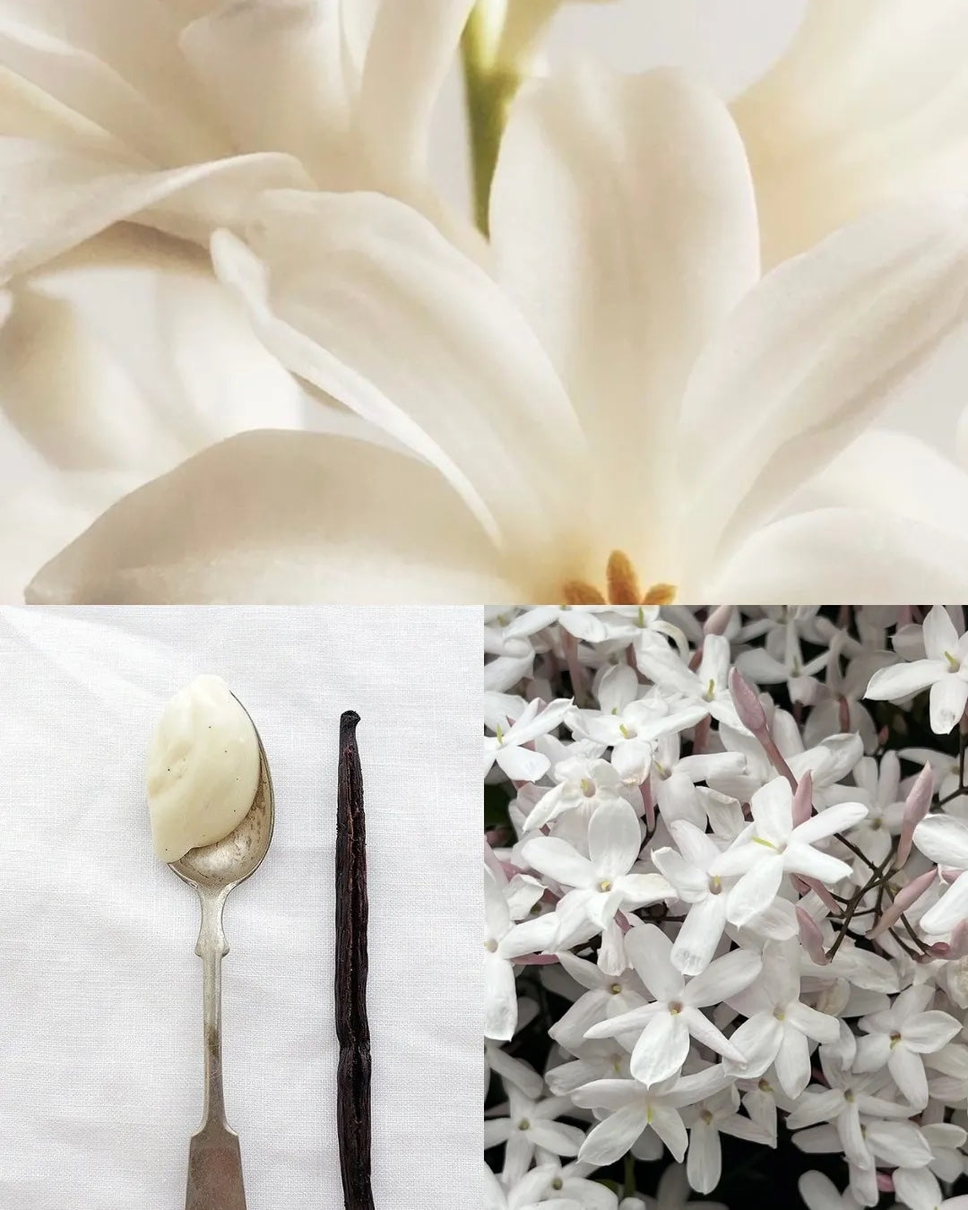 Tiare flower, jasmine & vanilla